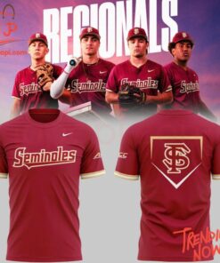 3D graphic 3 Florida State Seminoles 2025 Ncaa Baseball Championship Patch Hoodie with bold design