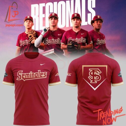 3D graphic 3 Florida State Seminoles 2025 Ncaa Baseball Championship Patch Hoodie with bold design
