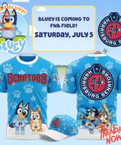 High-quality product with unique design – Harrisburg Senators Bluey Hoodie