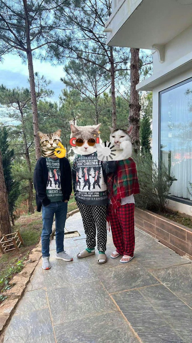 High-quality product with unique design – Review